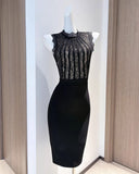 Roxanne | Women's High-neck Lace Bodycon Mini Dress
